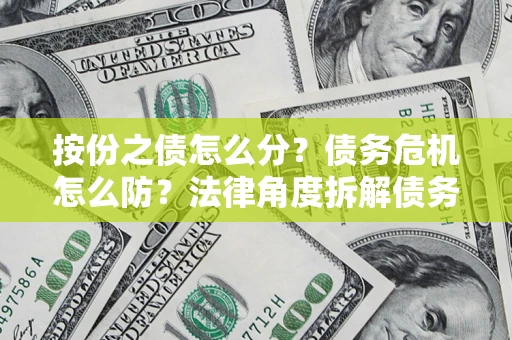 北京按份之债怎么分？债务危机怎么防？法律角度拆解债务分配与风险自保指南