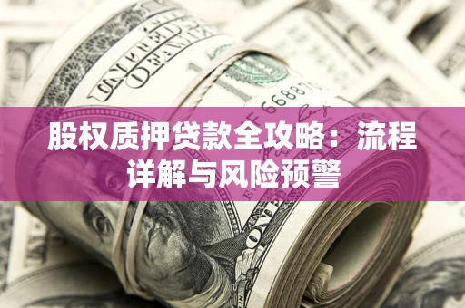北京股权质押贷款全攻略：流程详解与风险预警