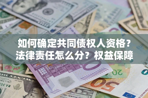 北京如何确定共同债权人资格？法律责任怎么分？权益保障技巧揭秘！