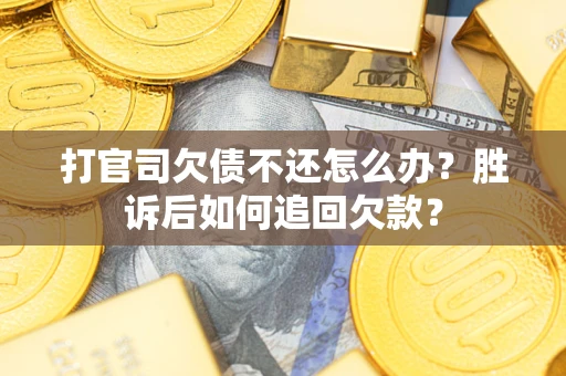 北京打官司欠债不还怎么办？胜诉后如何追回欠款？