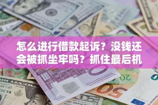 北京怎么进行借款起诉？没钱还会被抓坐牢吗？抓住最后机会！