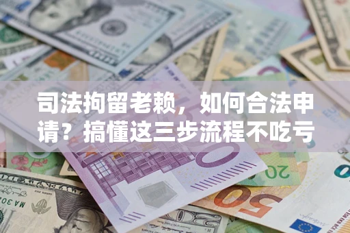 北京司法拘留老赖，如何合法申请？搞懂这三步流程不吃亏！