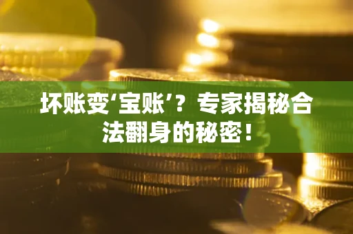 北京坏账变‘宝账’？专家揭秘合法翻身的秘密！