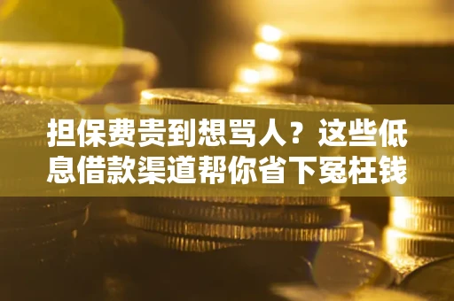 北京担保费贵到想骂人？这些低息借款渠道帮你省下冤枉钱