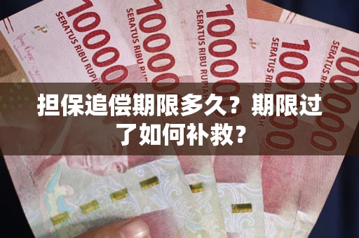北京担保追偿期限多久？期限过了如何补救？