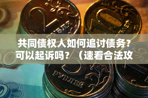 北京共同债权人如何追讨债务？可以起诉吗？（速看合法攻略）